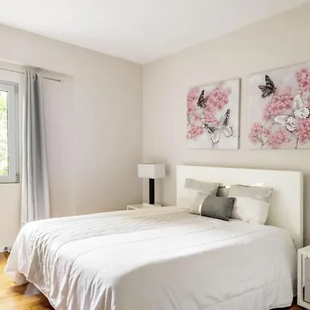 Luxury Poolside View