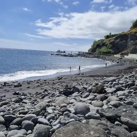 Luxury Poolside View *